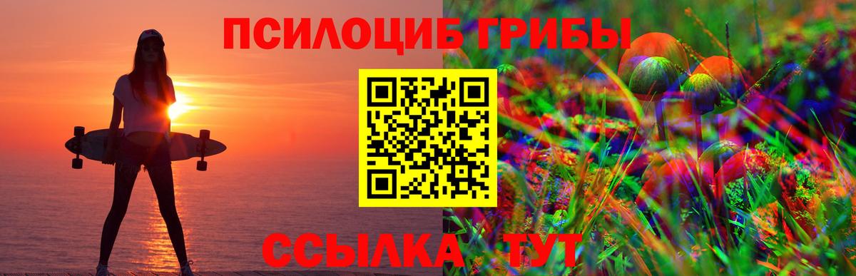 Галлюциногенные грибы Magic Shrooms Кашира